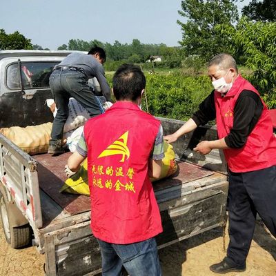幫賣助農(nóng) 用愛(ài)扶貧——金城紅馬甲赴子陵采購(gòu)愛(ài)心農(nóng)產(chǎn)品活動(dòng)紀(jì)實(shí)